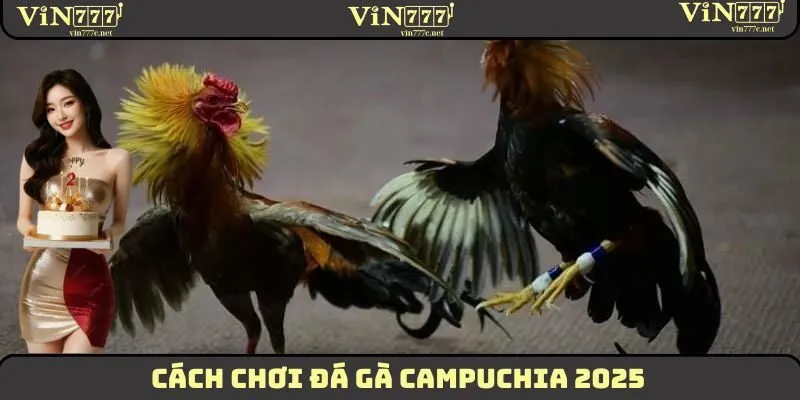 Cách Chơi Đá Gà Campuchia