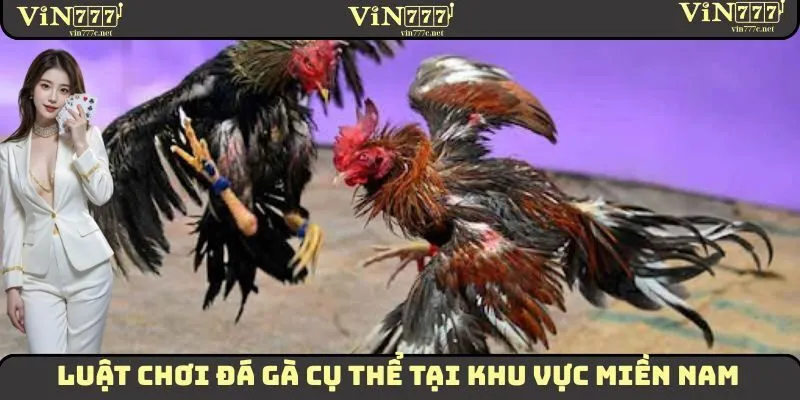 Luật chơi đá gà cụ thể tại khu vực miền Nam